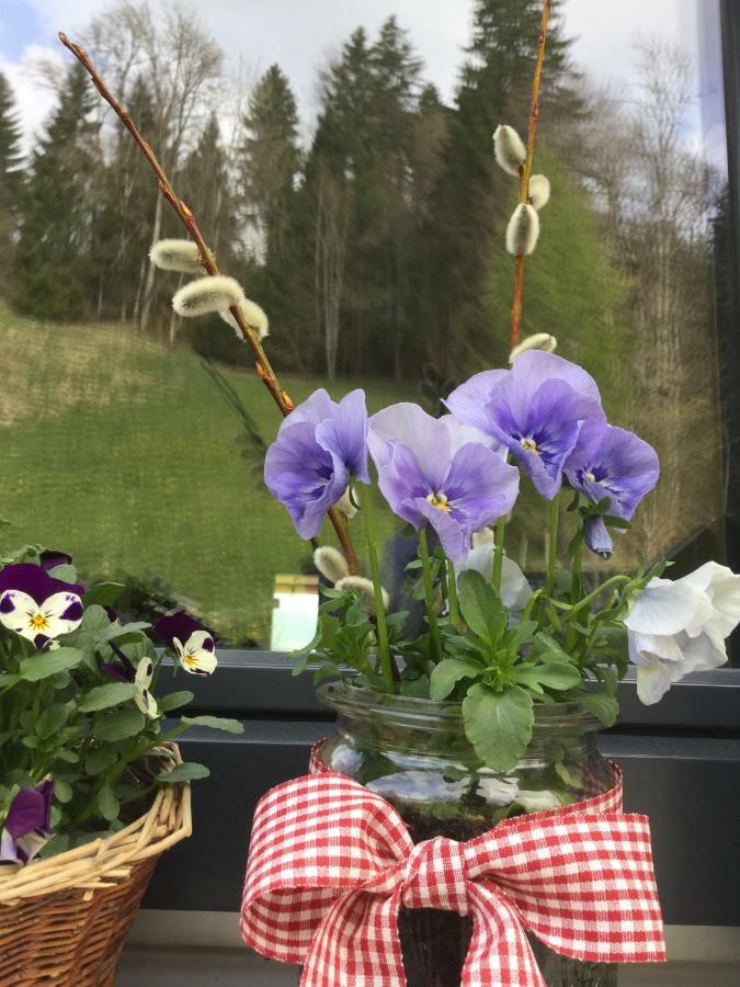 Apartment Nest Sibratsgfäll Dış mekan fotoğraf